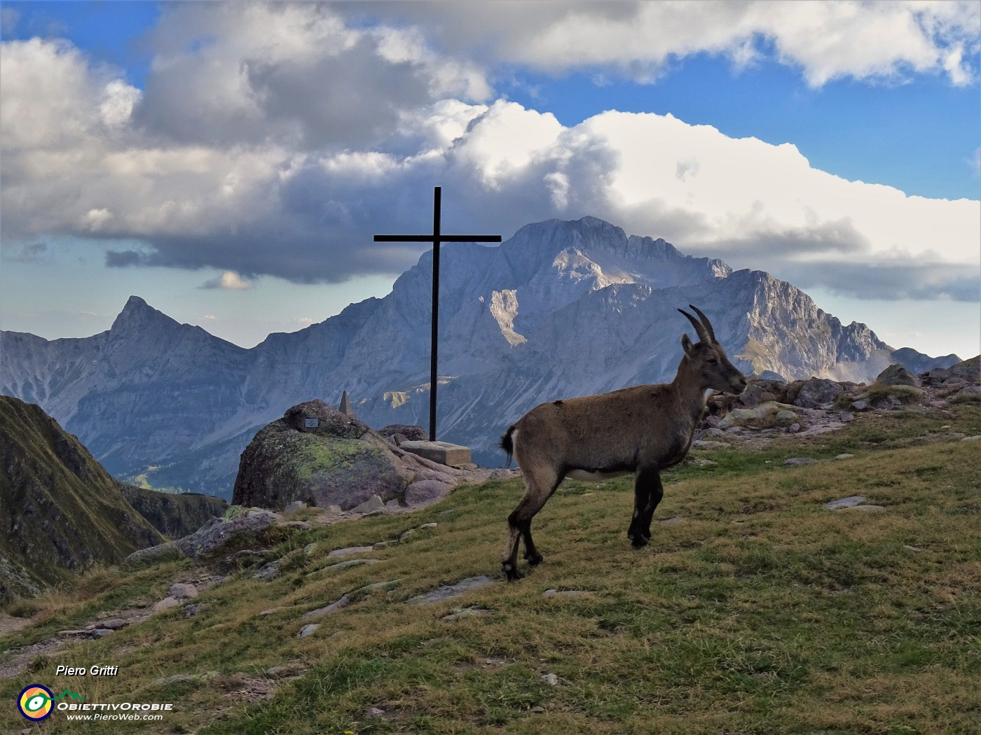 67 La femmina alla croce del Passo di Mezzeno (2144 m) con vista in Arera.JPG